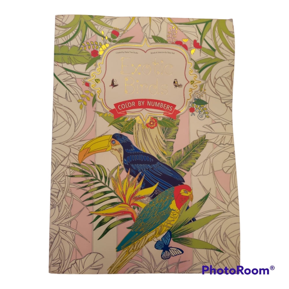 Paint/color by number book wild birds
